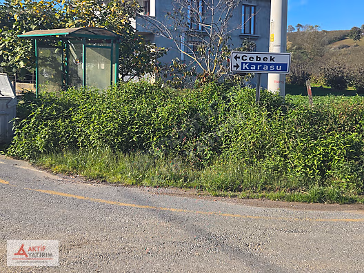 SAKARYA KAYNARCA CEBEK 2786 M2 KARE ORMANA CEPHELİ RESMİ YOLLU - SAKARYA KAYNARCA fotoğraf 12