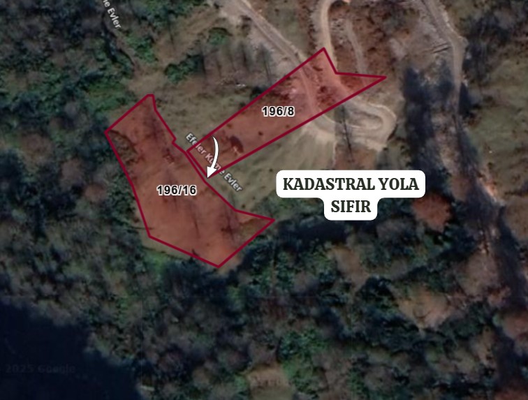 ARTVİN BORÇKA EFELER  KÖYÜ’NDE 2.376 M² FINDIK BAHÇESİ SATILIKTIR - ARTVİN BORÇKA fotoğraf 3