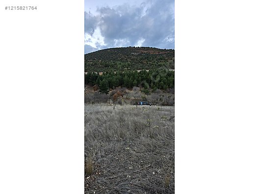 BURSA KELES KIRANIŞIKLAR KÖYÜNDE  658  M² BAĞ SATILIKTIR - BURSA KELES fotoğraf 3