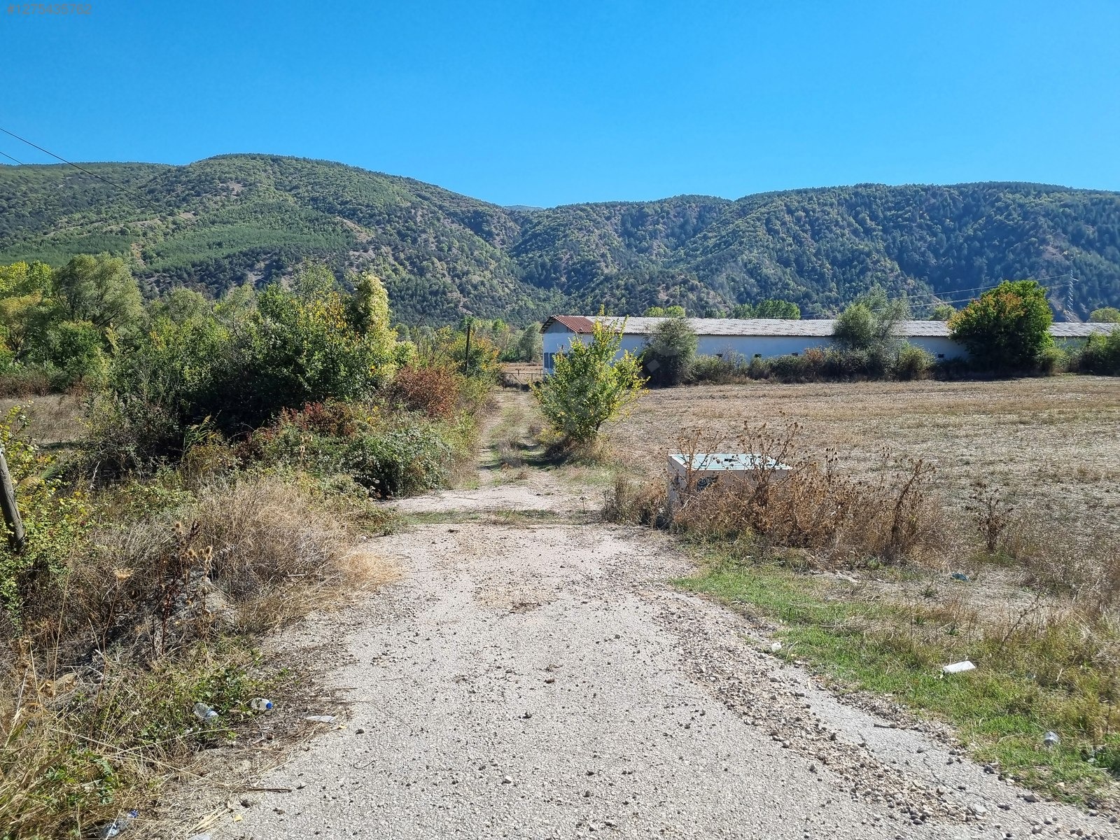 Cadde Emlaktan asfaltın kenarında satılık arsa ve tavuk çiftliği - KARABÜK ESKİPAZAR fotoğraf 24