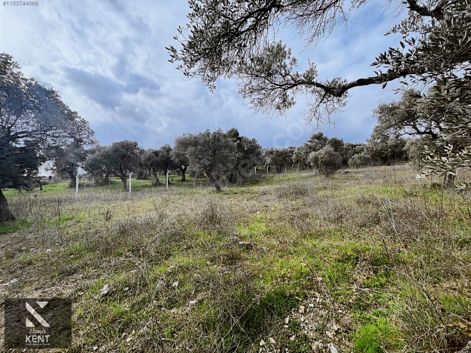 Kemalpaşa Gökyaka Satılık 2700 m2 Bahçe - İZMİR KEMALPAŞA fotoğraf 20