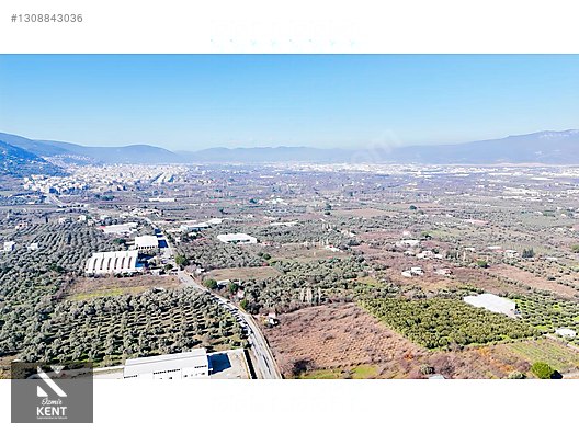 Kemalpaşa M.Akif Ersoy Satılık 7.250 m2 Bahçe Tek Tapu - İZMİR KEMALPAŞA fotoğraf 36