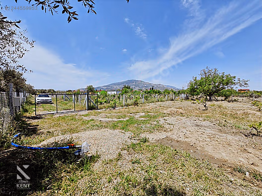 Kemalpaşa Armutlu Satılık 1120 m2 Bahçe - İZMİR KEMALPAŞA fotoğraf 9