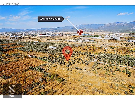 Kemalpaşa Sekiz Eylül Merkeze Yakın Satılık 3440 m2 Zeytinlik - İZMİR KEMALPAŞA fotoğraf 34