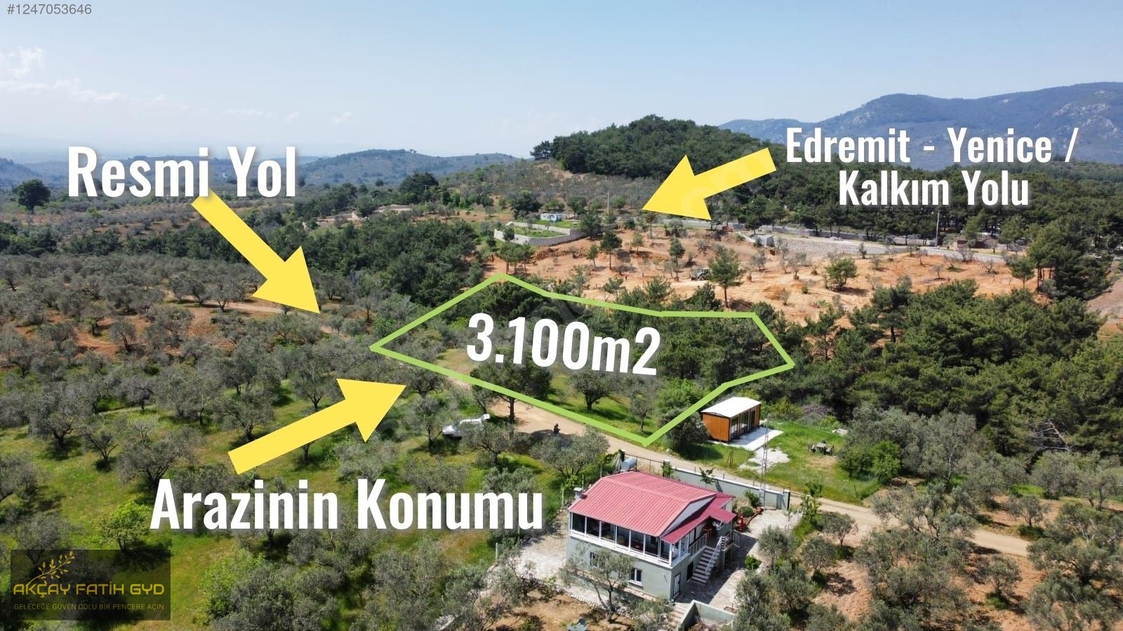Hacıarslanlar da 3.100m2 SATILIK Kaçmaz Fırsat Zeytinlik - BALIKESİR EDREMİT fotoğraf 8