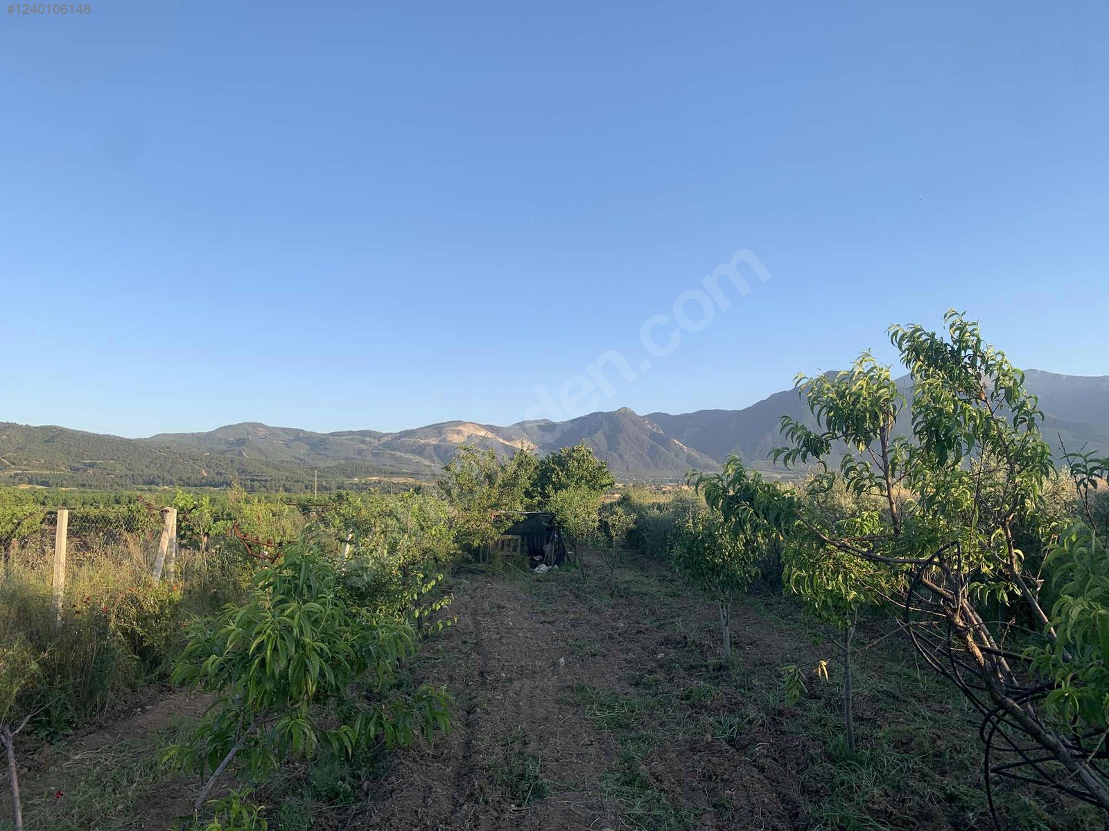 DENİZLİ HONAZ KOCABAŞ MAHALLESİNDE  688 M² TARLA  SATILIKTIR - DENİZLİ HONAZ fotoğraf 13
