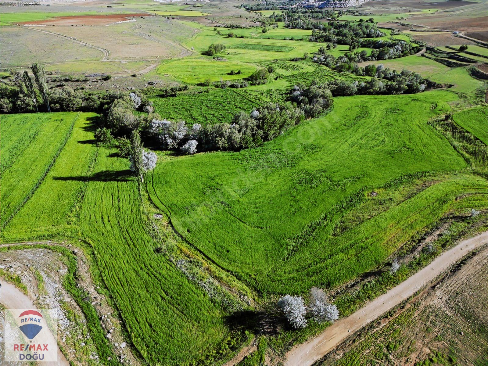 REMAX DOĞUDAN MERKEZ ALTINKUŞAKTA SATILIK TARLALAR - ELAZIĞ MERKEZ fotoğraf 3