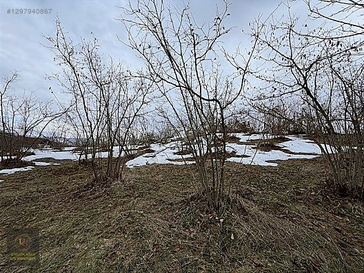 DÜZCE YIĞILCA HACILAR 'DA 2.744 M2 BAĞ EVİ OLAN FINDIK BAHÇESİ - DÜZCE YIĞILCA fotoğraf 26