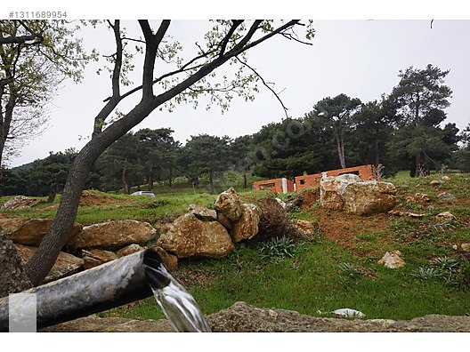 ÇANAKKALE BAYRAMİÇ DALOBA KÖYÜ 4781 m2 TARLA - ÇANAKKALE BAYRAMİÇ fotoğraf 12