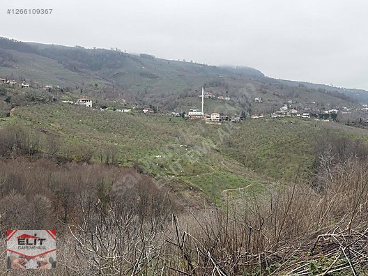 DÜZCE AKÇAKOCA DA EV YAPIMINA UYGUN SATILIK 7.768 M2 FINDIKLIK - DÜZCE AKÇAKOCA fotoğraf 15