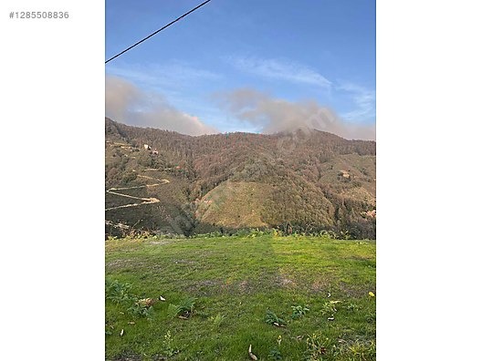 ESPİYE SATILIK BAHÇE 2650 MK HACIMAHMUTLU KÖYÜ ŞEHRE 15 DK - GİRESUN ESPİYE fotoğraf 2