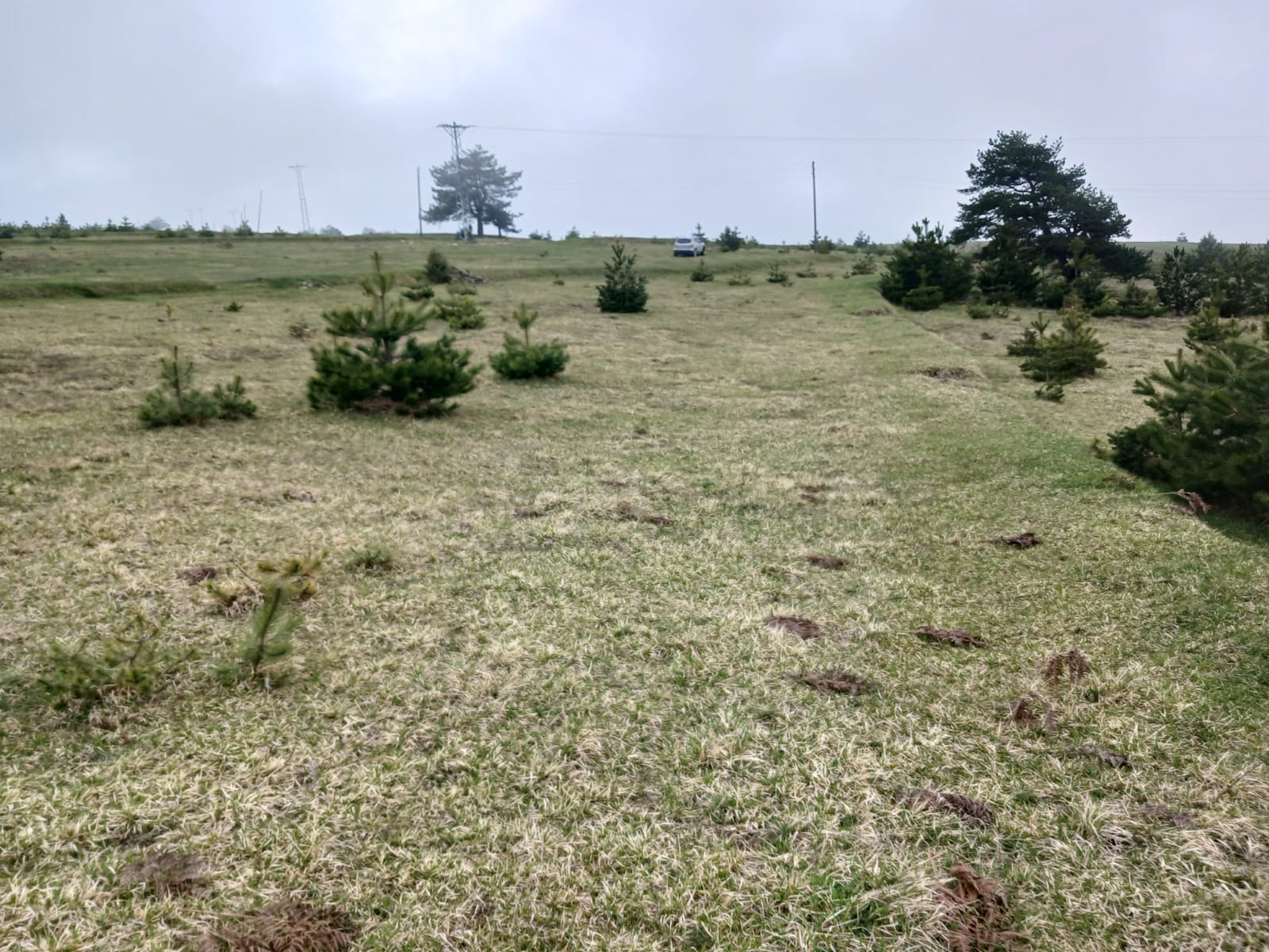 SİNOP DİKMEN ÇUKURCAALAN KÖYÜNDE 2.915M² TARLA SATILIK - SİNOP DİKMEN fotoğraf 25