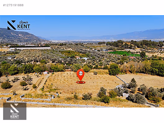 Kemalpaşa Nazarköy Satılık 9501m2 Bahçe - İZMİR KEMALPAŞA fotoğraf 14