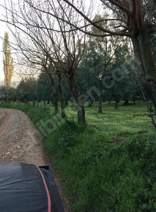 BURSA İZNİK YÖRÜKLER'DE 18.374 M² BAHÇEMİZ SATILIKTIR - BURSA İZNİK fotoğraf 4