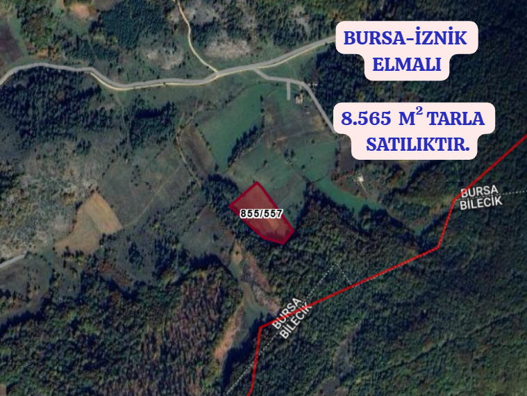 BURSA İZNİK ELMALI KÖYÜNDE 8.565 M² TARLA SATILIKTIR - BURSA İZNİK fotoğraf 2