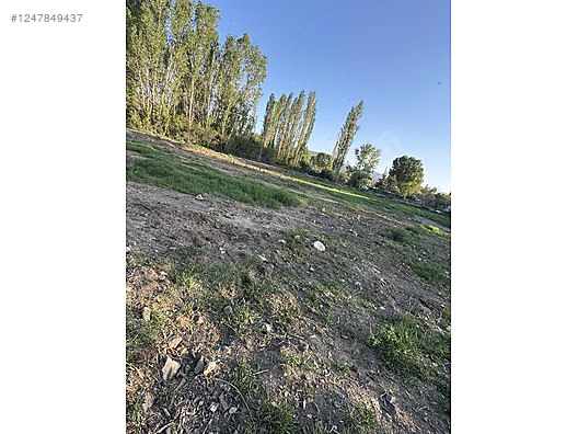 ANKARA ELMADAĞ TATLICA KÖYÜNDE 2.072 M² BAĞIMIZ  SATILIKTIR - ANKARA ELMADAĞ fotoğraf 7