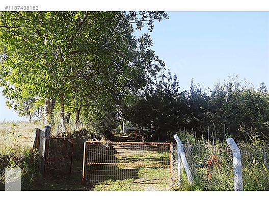ÇANAKKALE BAYRAMİÇ BEŞİK KÖYÜ 6.900 m2 MEYVA BAHÇESİ 96 m2 EV - ÇANAKKALE BAYRAMİÇ fotoğraf 34