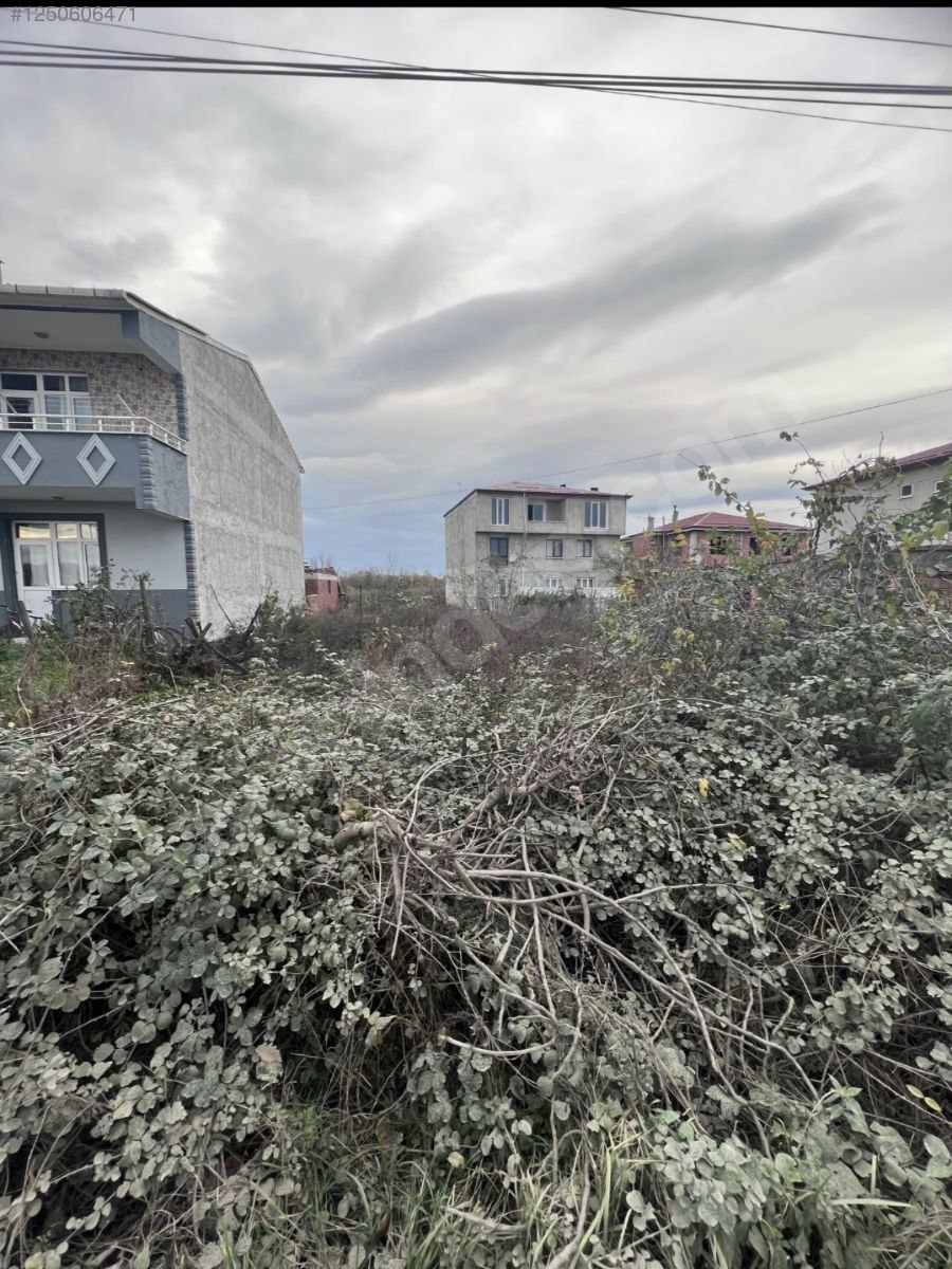 Organize karşısı arsa - SAMSUN ÇARŞAMBA fotoğraf 3
