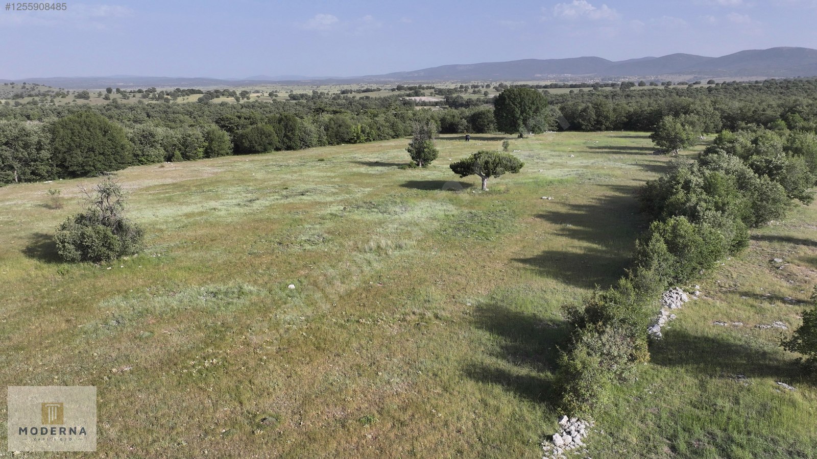 ESKİŞEHİR 20650 M2 TEK TAPU ORMANA CEPHE HALI GİBİ EMSALSİZ ARSA - ESKİŞEHİR HAN fotoğraf 10