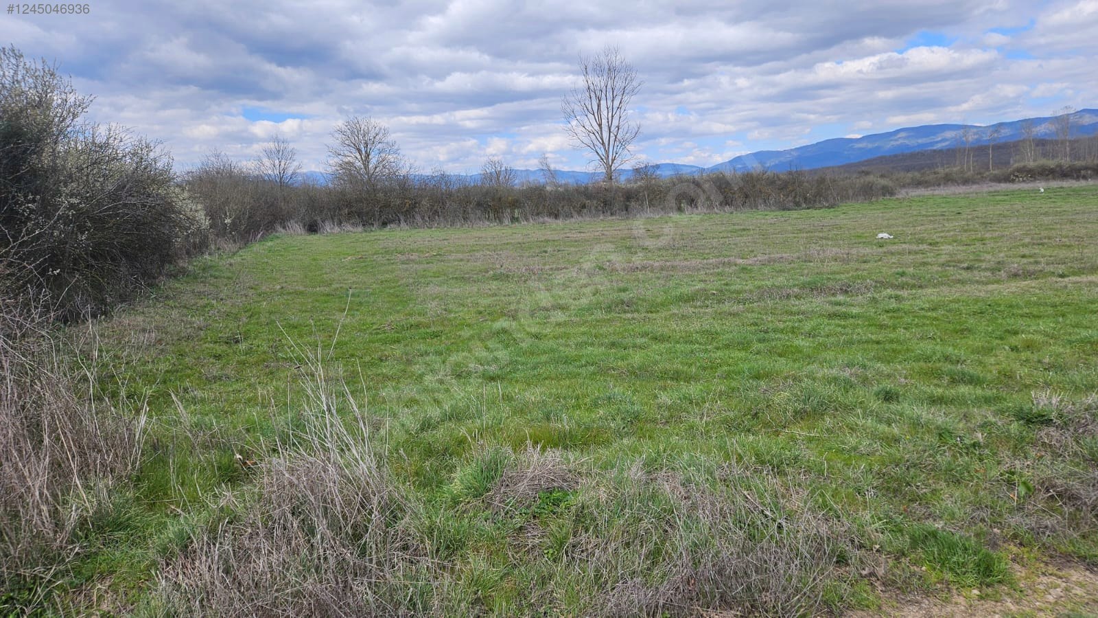 Karabey Köyü'nde Satılık 1800 M² Biber Tarlası - ÇANAKKALE YENİCE fotoğraf 7