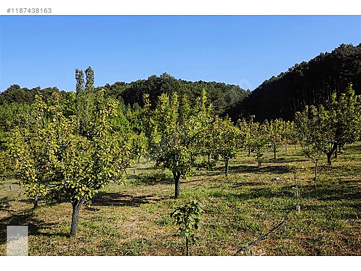 ÇANAKKALE BAYRAMİÇ BEŞİK KÖYÜ 6.900 m2 MEYVA BAHÇESİ 96 m2 EV - ÇANAKKALE BAYRAMİÇ fotoğraf 26