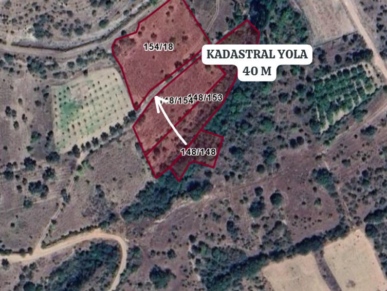 BİLECİK SÖĞÜT TUZAKLI  KÖYÜNDE 660 M² BAĞ  SATILIKTIR - BİLECİK SÖĞÜT fotoğraf 3