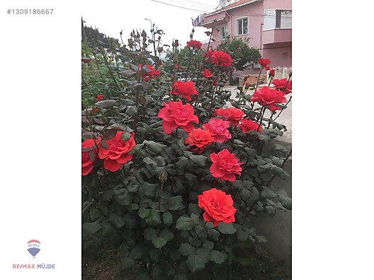 Çanakkale Bayramiç satılık müstakil ev - ÇANAKKALE BAYRAMİÇ fotoğraf 7
