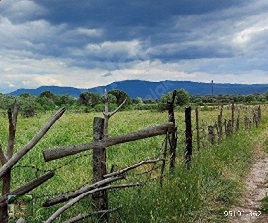 KOZAK HACIHAMZALAR MAH DE 5150 M2 İMARLI TARLA - İZMİR BERGAMA fotoğraf 2