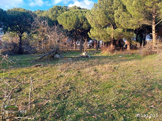 BERGAMA KOZAK YAYLASI KARAVELİLER MAH DE 2360 m2 BAHÇE - İZMİR BERGAMA fotoğraf 5