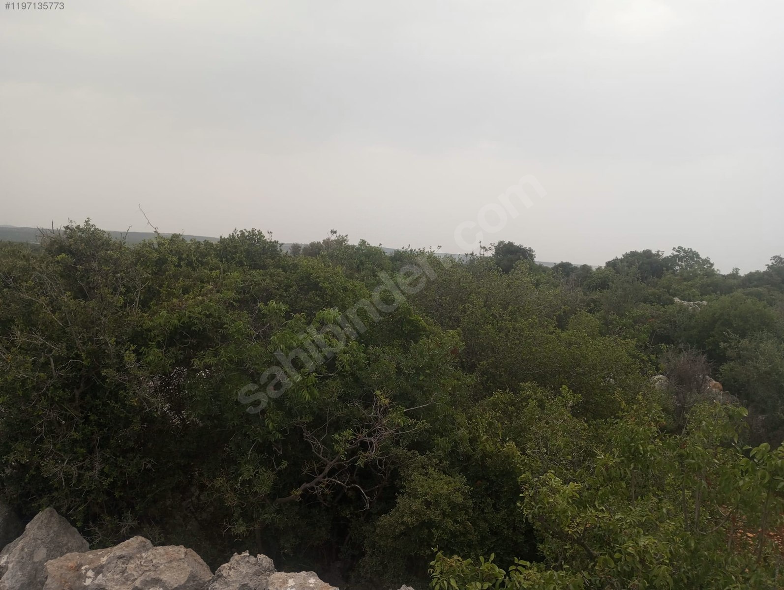   Mersin / Silifke / Hüseyinler Mh. 715M² TARLAMIZ SATILIKTIR.   - MERSİN SİLİFKE fotoğraf 3