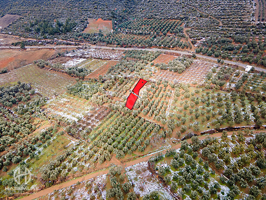 BÖLGE UZMANI HAS EMLAK tan SATILIK TEK TAPU ARAZİ - BURSA İZNİK fotoğraf 8