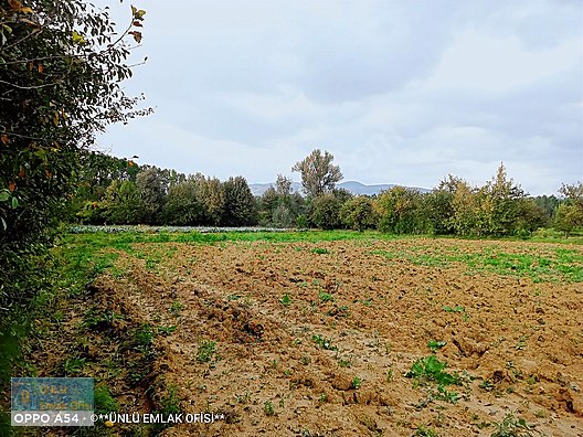 ÜNLÜ EMLAKTAN ESKİ TAŞKÖPRÜ YOLUNDA 6PARSEL YAPILABİLİR FIRSAT - KASTAMONU MERKEZ fotoğraf 12