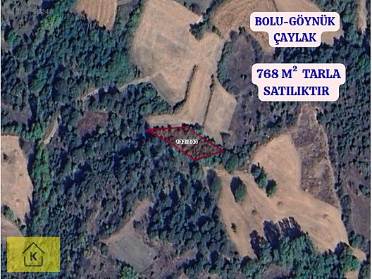 BOLU GÖYNÜK ÇAYLAK KÖYÜNDE 768 M² TARLA SATILIKTIR - BOLU GÖYNÜK fotoğraf 15