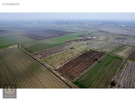 Tekirdağ saray Kadiköy bağ yeri - TEKİRDAĞ SARAY fotoğraf 2