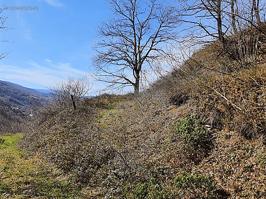 Gölcük Nüzhetiyede 2605m² Yatırımlık Fırsat Arazi - KOCAELİ GÖLCÜK fotoğraf 5