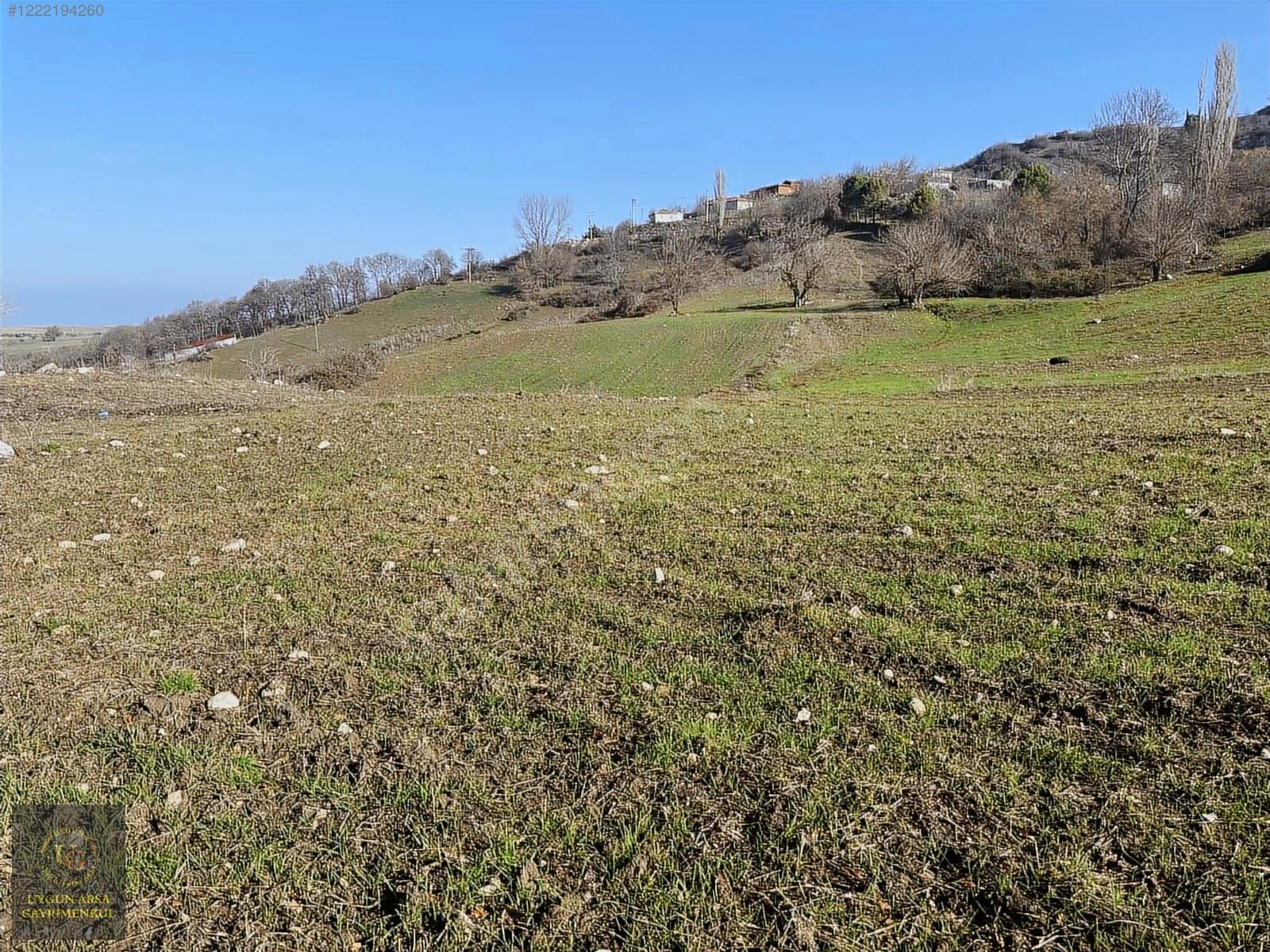 BALIKESİR MANYAS HEKİM'DE KÖY İÇİNDE 5.193 M2 UYGUN ARSA - BALIKESİR MANYAS fotoğraf 8