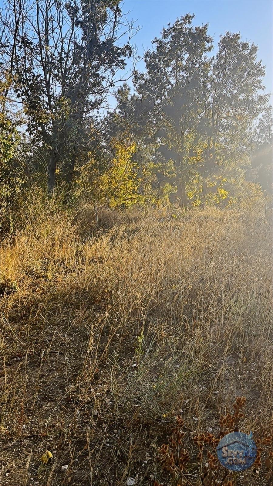 ASYA EVİM GAYRİMENKULDEN SAKARCA MAH.SATILIK ARAZİ - Burdur Ağlasun fotoğraf 3