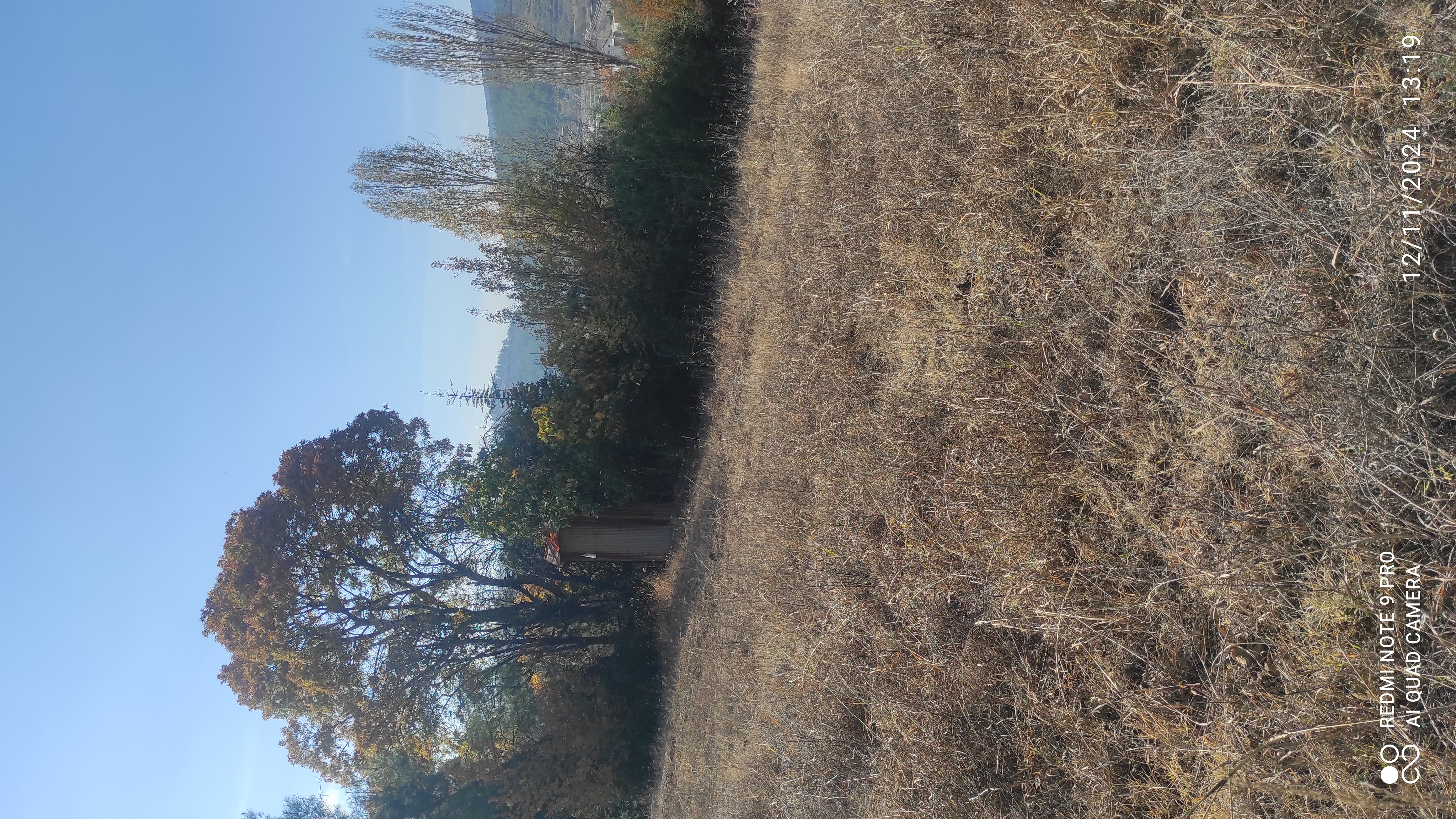 BURDUR BUCAKTA 2742.M2 SUYU VE ELEKTRİĞİ BULUNAN MEYVE BAHÇESİ  - BURDUR BUCAK fotoğraf 9