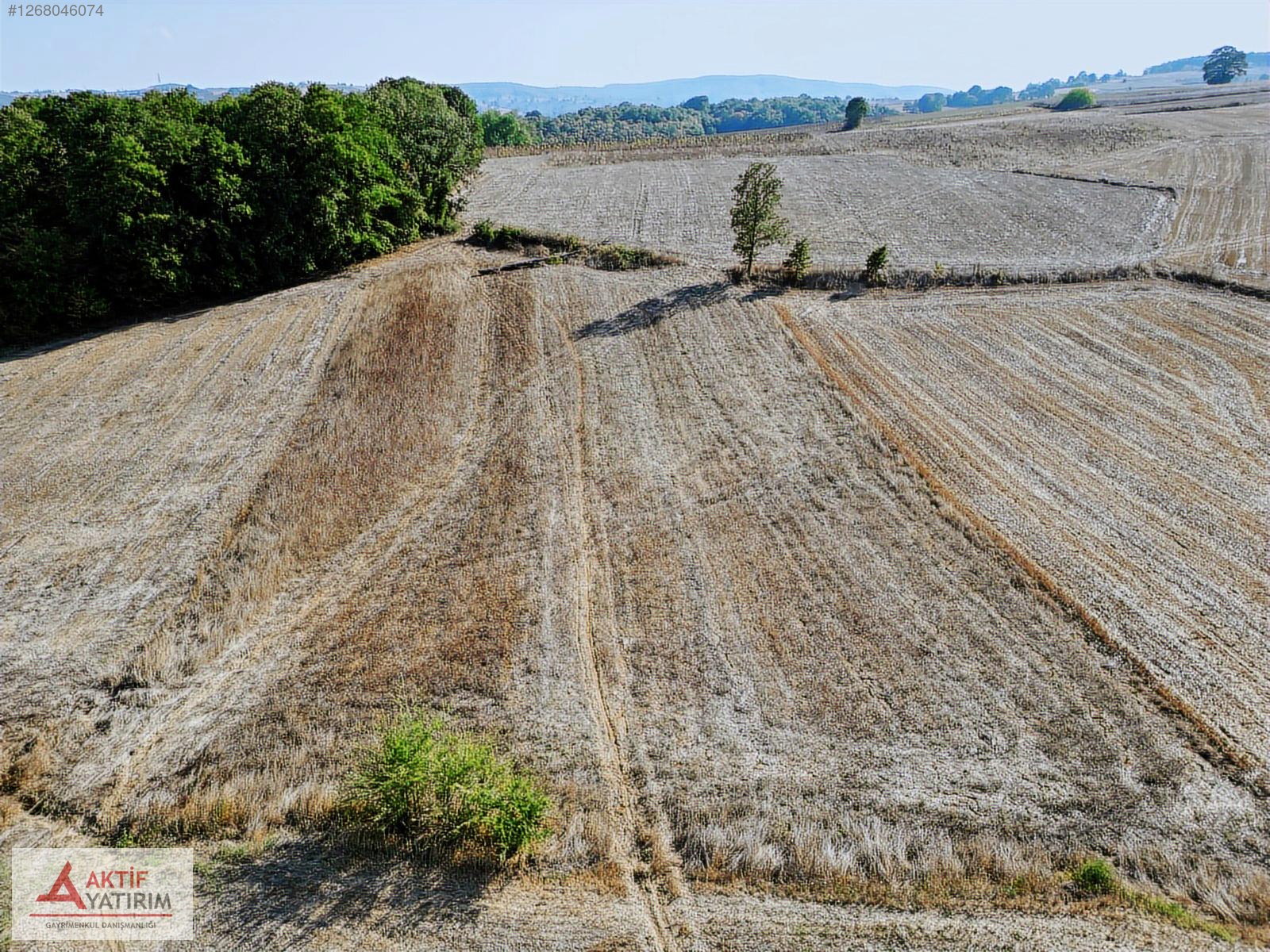 KANDIRA SEYİTALİLER MAHALLESİ'NDE 2663 M2 FIRSAT TARLA - KOCAELİ KANDIRA fotoğraf 8