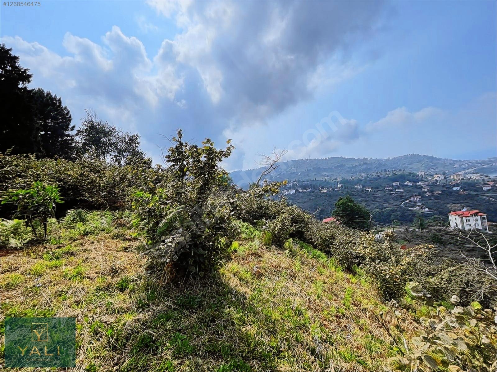 GİRESUN MERKEZ YALIKÖY MEVKİİ SATILIK ARAZİ - GİRESUN MERKEZ fotoğraf 42