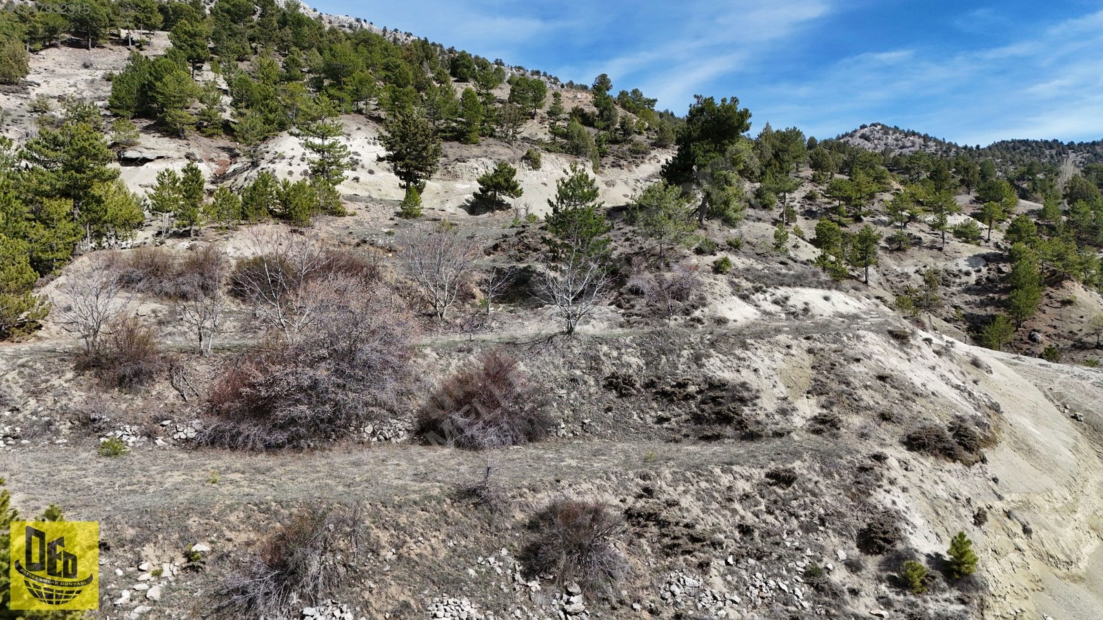 ÇİĞDEMLİ'DE YOLU OLAN ORMANA CEPHE YATIRIMLIK 1.105 m² ARAZİ - DENİZLİ ÇAMELİ fotoğraf 5