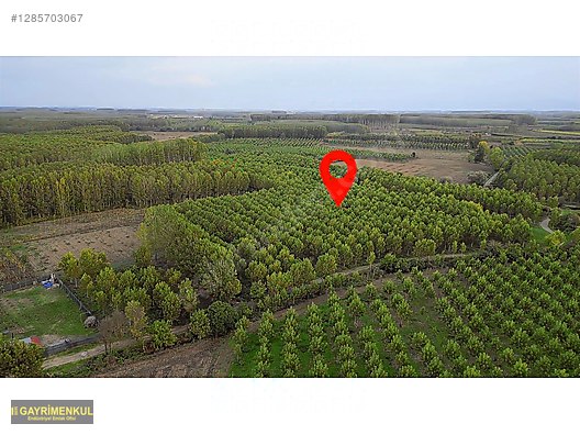 YATIRIM FIRSATI! ERENLER/ŞEYHKÖY MAH. 24.620 M² - SAKARYA ERENLER fotoğraf 40