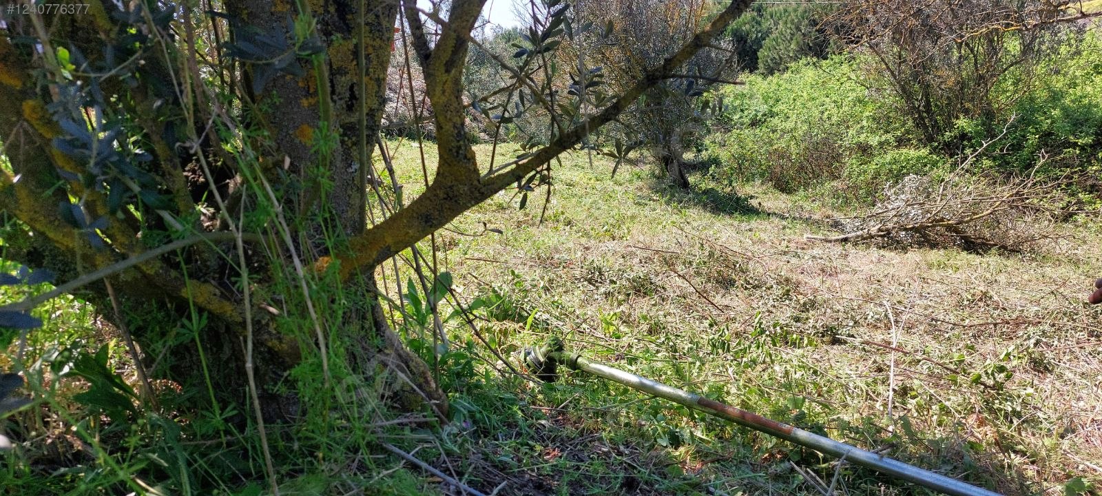 BURSA MUDANYA YALIÇİFTLİK 1.697 M² TARLA SATILIKTIR. - BURSA MUDANYA fotoğraf 19