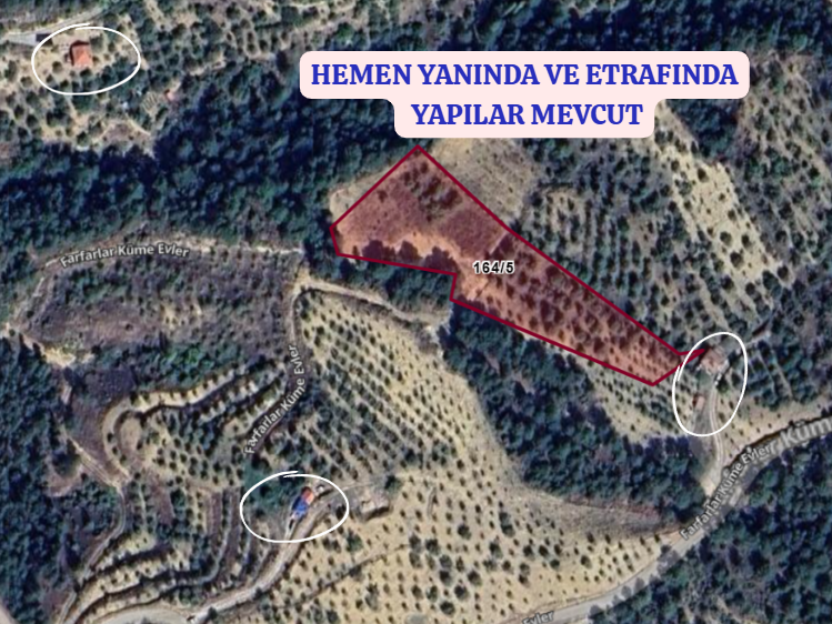 KÜTAHYA ŞAPHANE PAZAR  KÖYÜNDE 4.163 M²  VİŞNE KİRAZ BAHÇESİ  SATILIKTIR - KÜTAHYA ŞAPHANE fotoğraf 5