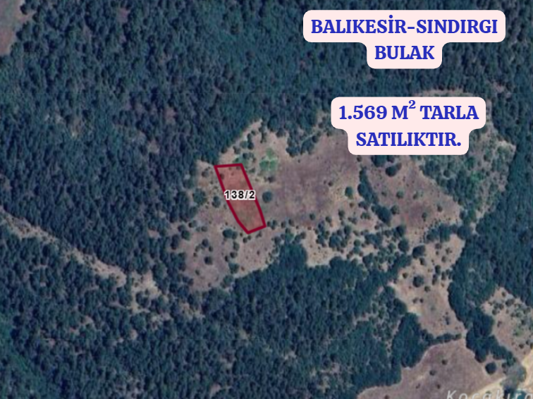 BALIKESİR SINDIRGI BULAK KÖYÜNDE 1.569 M² TARLA SATILIKTIR - BALIKESİR SINDIRGI fotoğraf 2