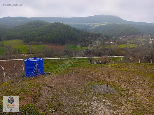 YATIRIMLIK...BİLECİK GÖLPAZARINDA 6780 M2 (ARAÇ TAKASLI) BAHÇE - BİLECİK GÖLPAZARI fotoğraf 3