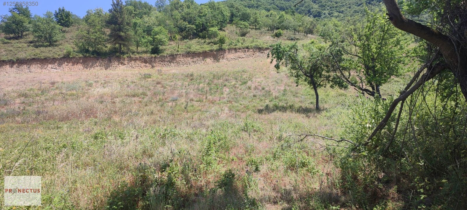 AVCIKÖY MAHALLESİNDE RESMİ YOLA CEPHE 3057M2 İMARLI SATILIK ARSA - KOCAELİ KARAMÜRSEL fotoğraf 7