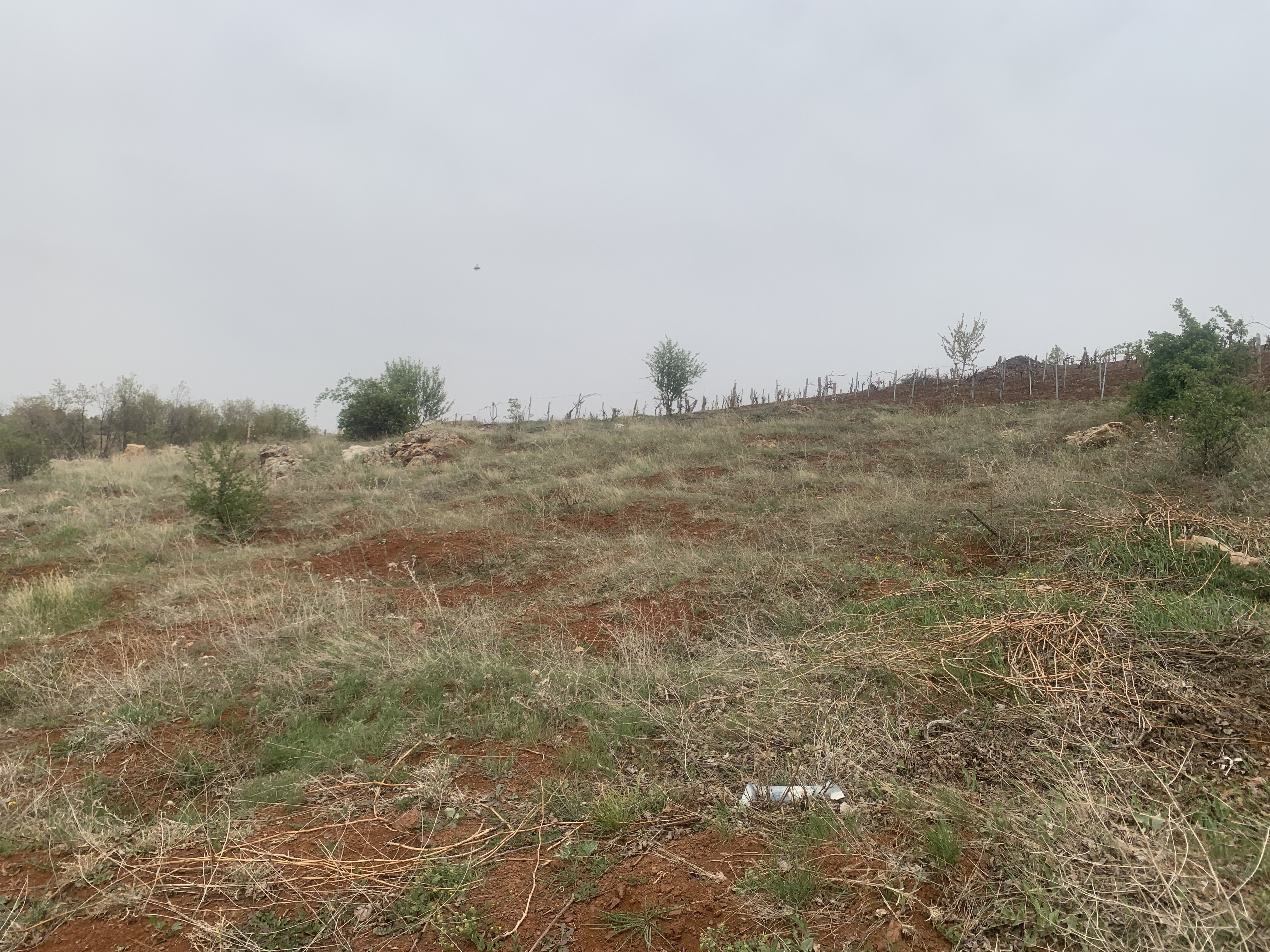 KONYA BOZKIR HAMZALAR KÖYÜNDE 1.443 M2 BAĞ SATILIKTIR. - KONYA BOZKIR fotoğraf 17