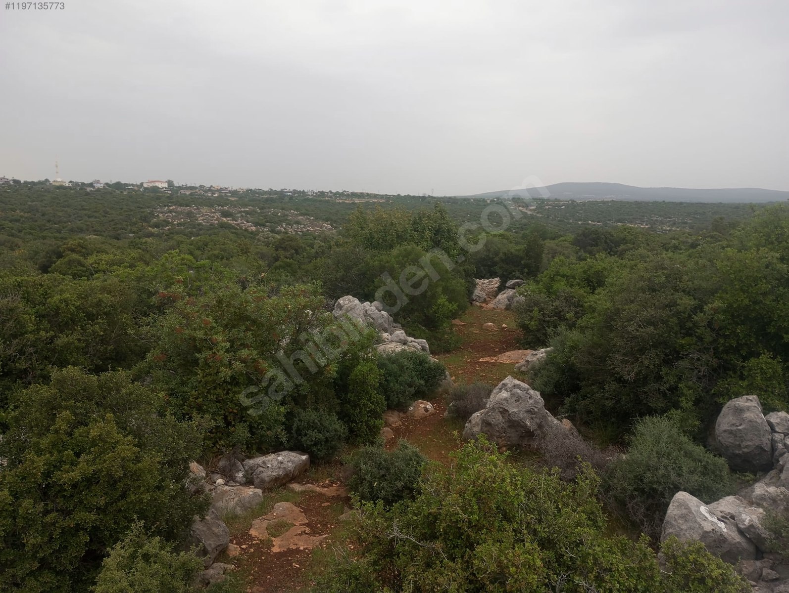   Mersin / Silifke / Hüseyinler Mh. 715M² TARLAMIZ SATILIKTIR.   - MERSİN SİLİFKE fotoğraf 4