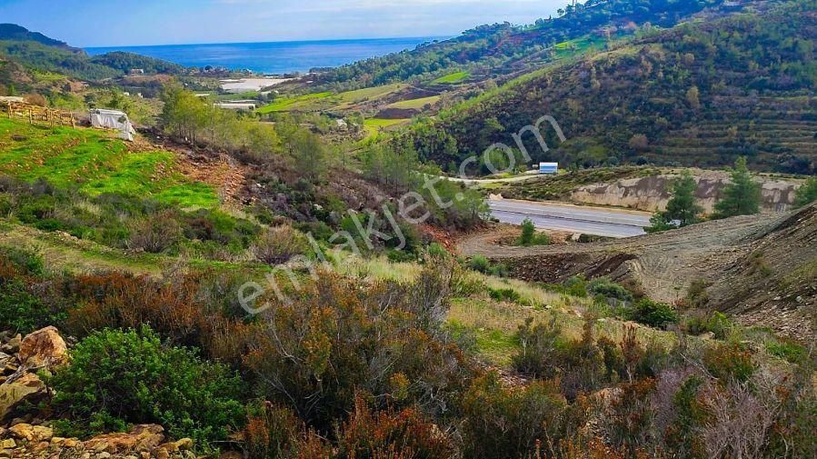Anchor Gayrimenkul'den Demirören Mahallesin'de Satılık Tarla - MERSİN ANAMUR fotoğraf 4